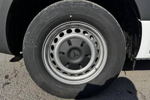 06785405_13.jpg