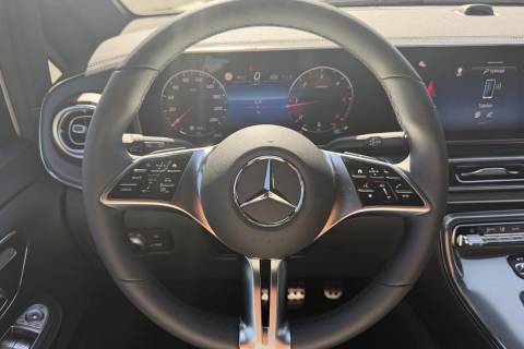 06786375_19.jpg