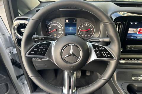 55800039_15.jpg